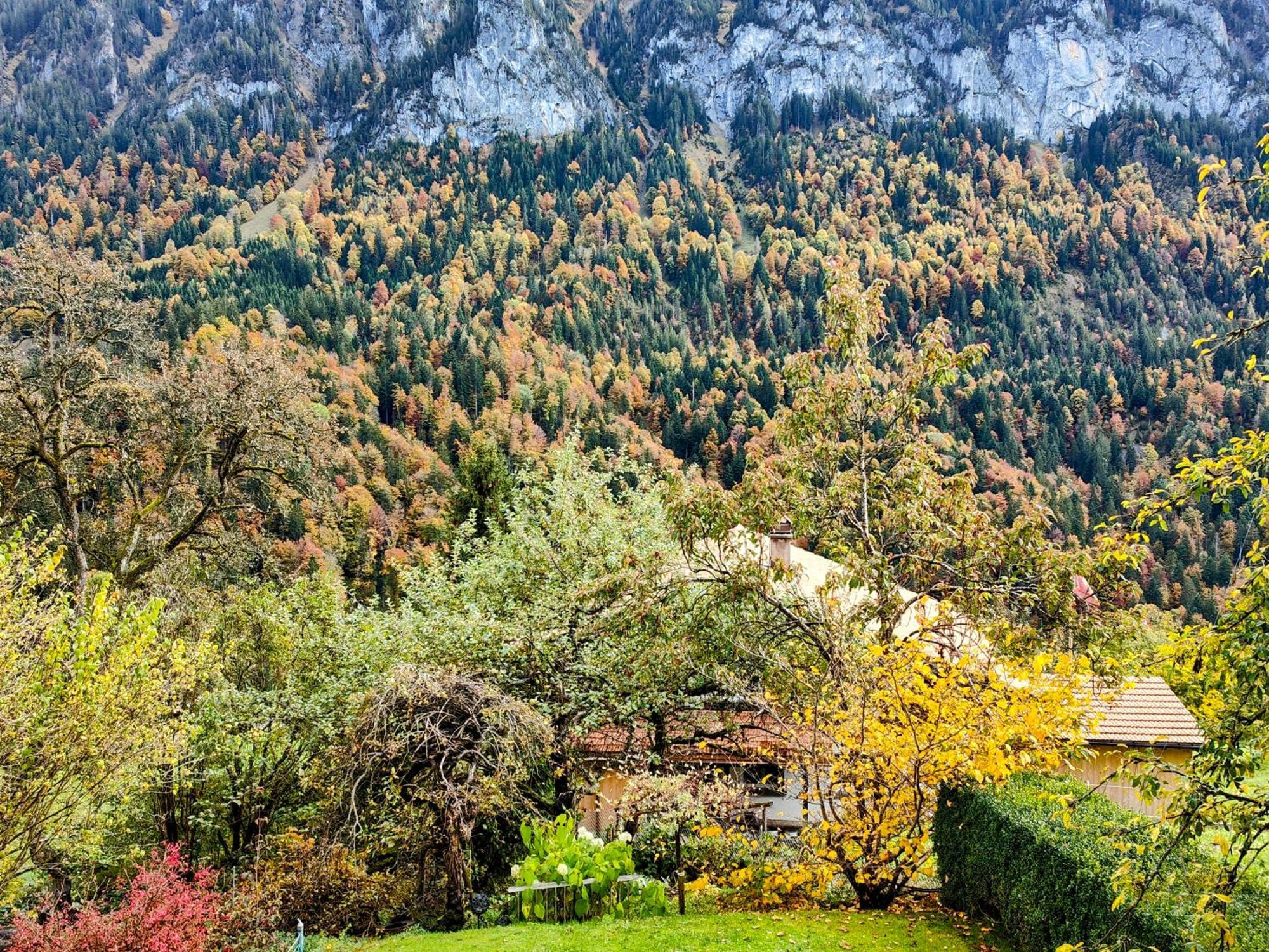 Mountain Village Room 哈布凯恩 外观 照片